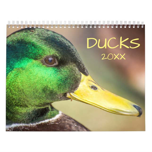 Calendario Hermosa fotografía de patos (Tapa)