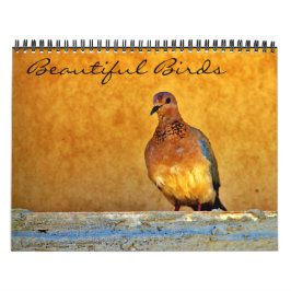 Calendario Hermosas aves