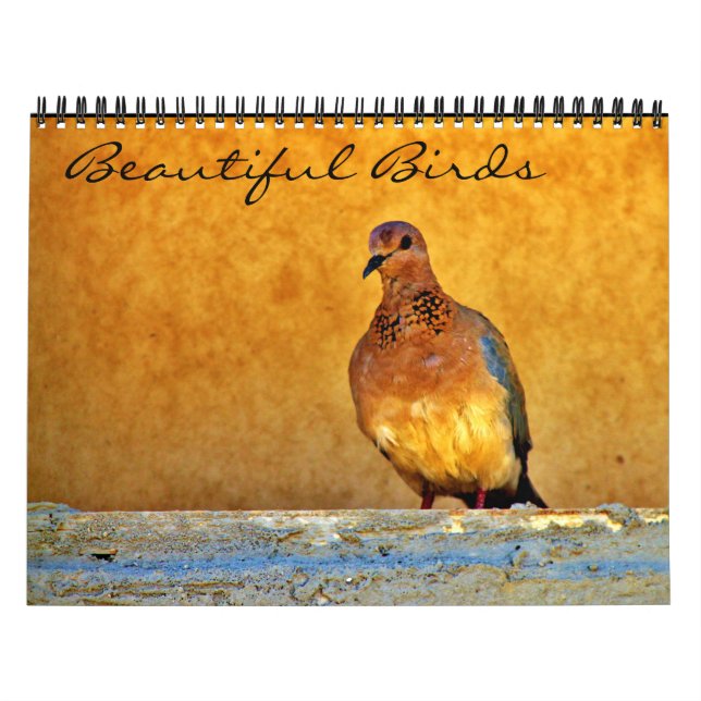 Calendario Hermosas aves (Tapa)