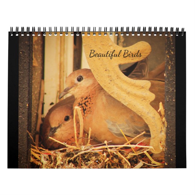 Calendario Hermosas aves (Tapa)