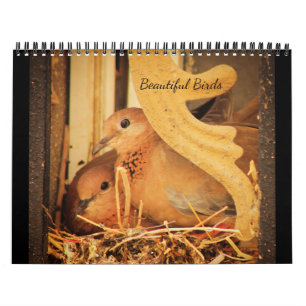 Calendario Hermosas aves