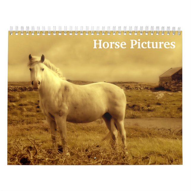 Calendario Hermosas imágenes de caballos 2025 (Tapa)