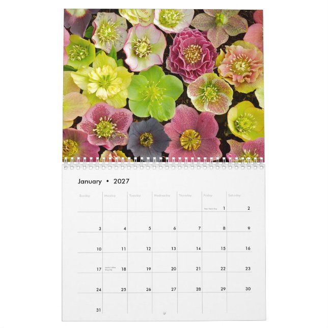 Calendario hermoso 2013 de las flores (Jan 2027)