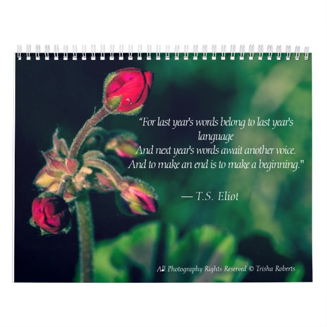 Calendario hermoso 2018 de la fotografía de la (Tapa)