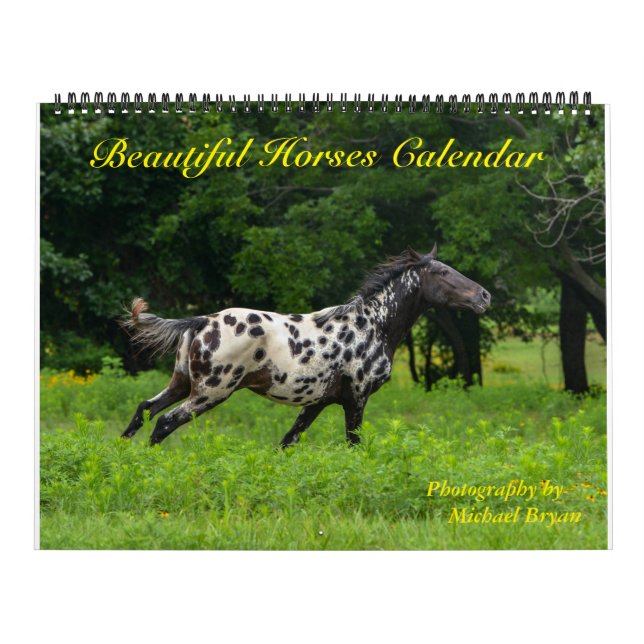 Calendario hermoso de 12 caballos del mes, grande (Tapa)