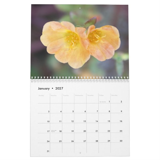 calendario hermoso de la fotografía de 2013 flores (Jan 2027)