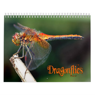 Calendario hermoso de las libélulas