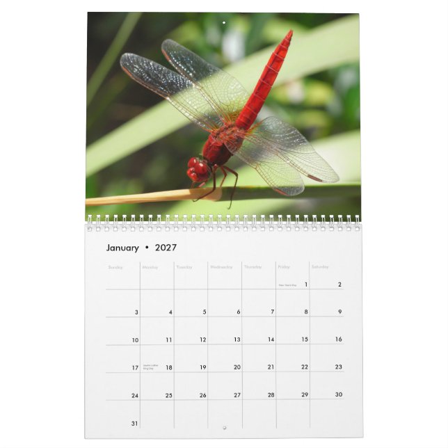 Calendario hermoso de las libélulas (Jan 2027)