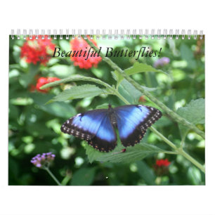 Calendario hermoso de las mariposas