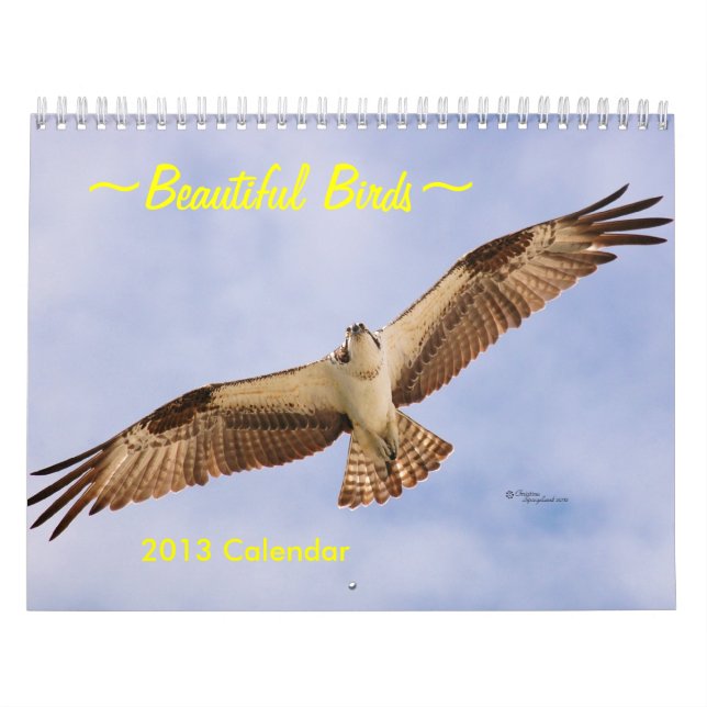 Calendario hermoso de los pájaros 2016 (Tapa)