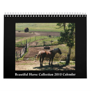 Calendario hermoso del caballo 2010