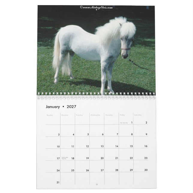 Calendario hermoso del caballo 2010 (Jan 2027)