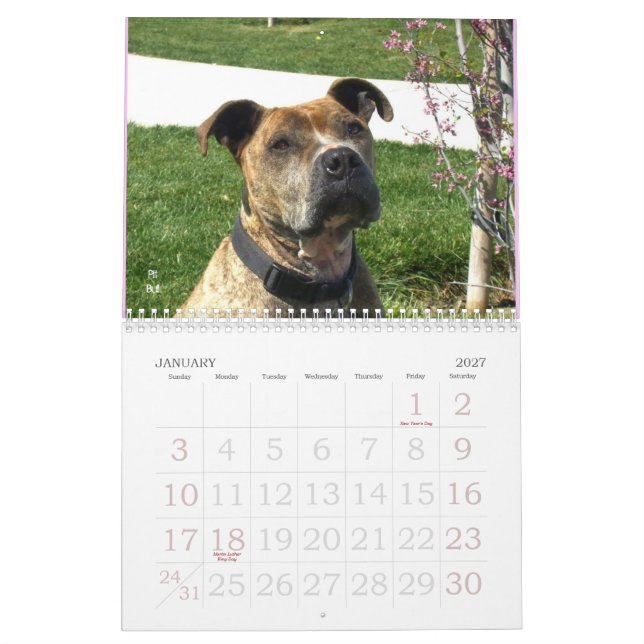 Calendario hermoso del perro de Bullys 2011 (Jan 2027)