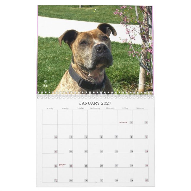Calendario hermoso del perro de Bullys 2012 (Jan 2027)
