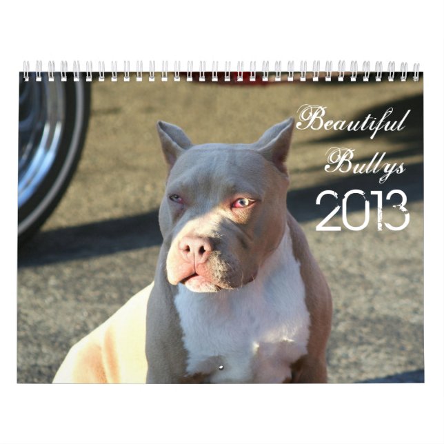 Calendario hermoso del perro de Bullys 2013 (Tapa)
