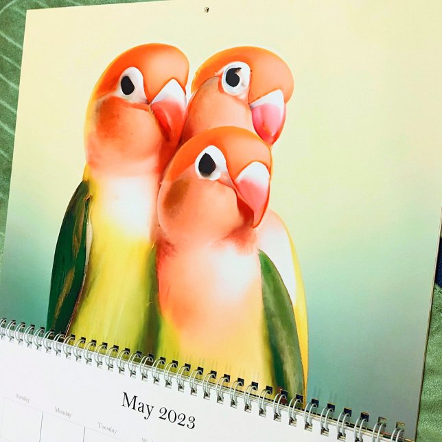 Calendario Hermoso Lovebird Acuarela Ave Cute Mascota Loro (Subido por el creador)