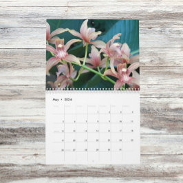 Calendario Hermoso Orquídeas Fotógrafo Floral