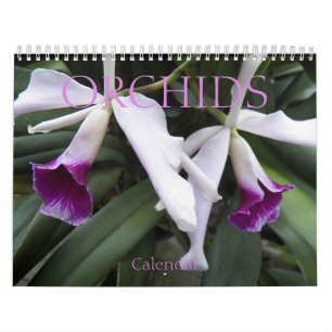 Calendario Hermoso Orquídeas Fotógrafo Floral