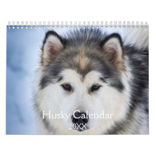 Calendario Hermoso Perro Husky