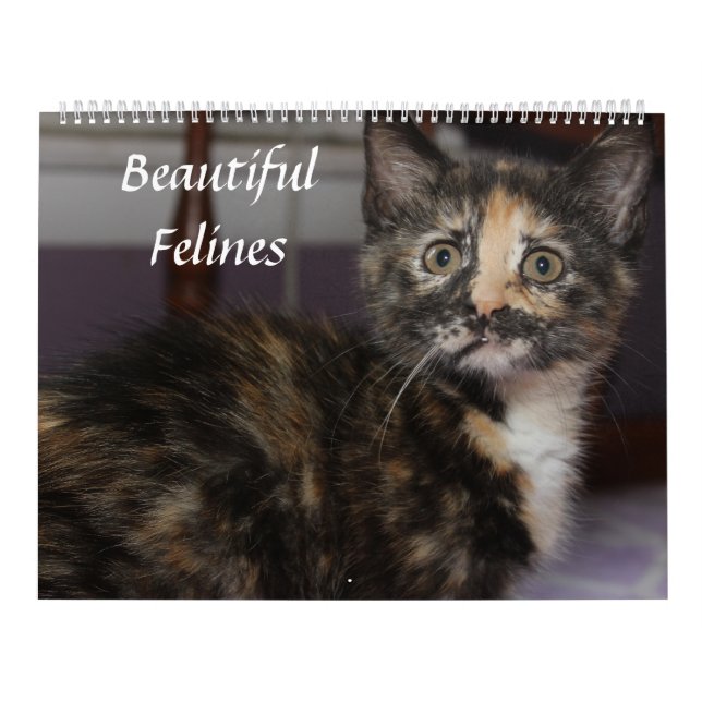 CALENDARIO HERMOSOS FELINES (Tapa)