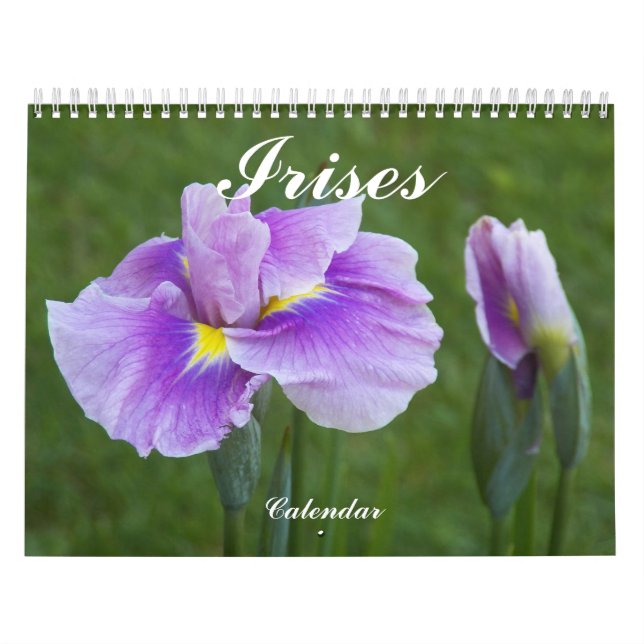 Calendario Hermosos irlandeses florales fotográficas (Tapa)