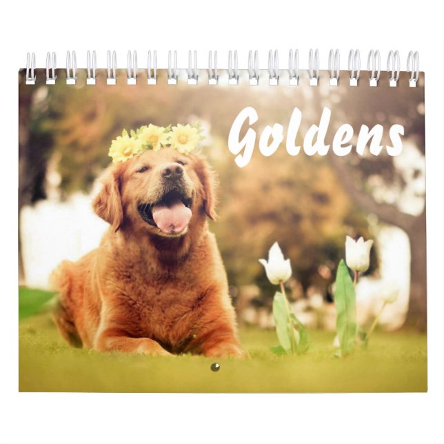 Calendario Hermosos recuperadores de oro (Tapa)