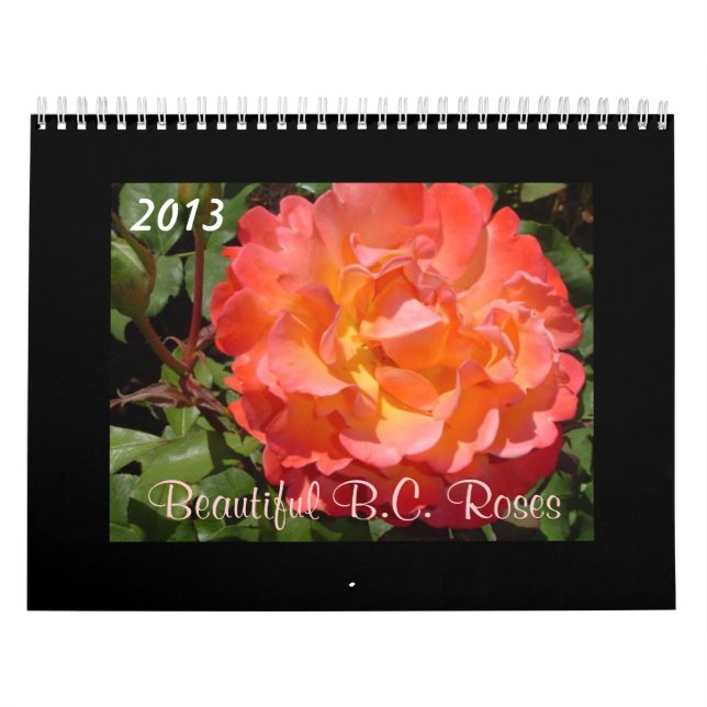 Calendario Hermosos Rosas de Washington 2013 (Tapa)