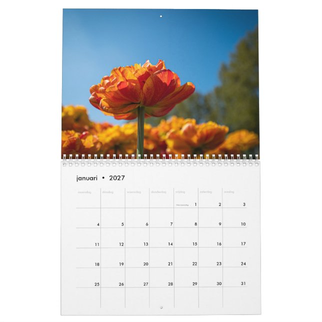 Calendario Hermosos tulipanes holandeses (Jan 2027)