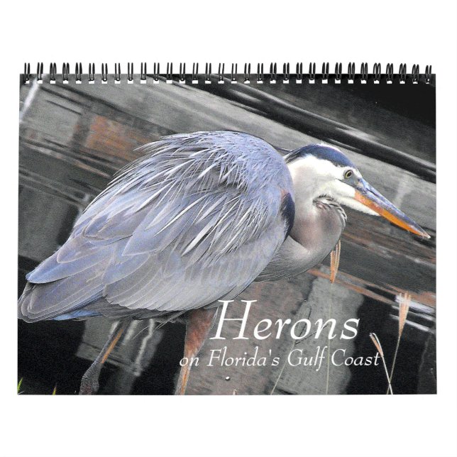 Calendario Herones grandes y pequeños (Tapa)