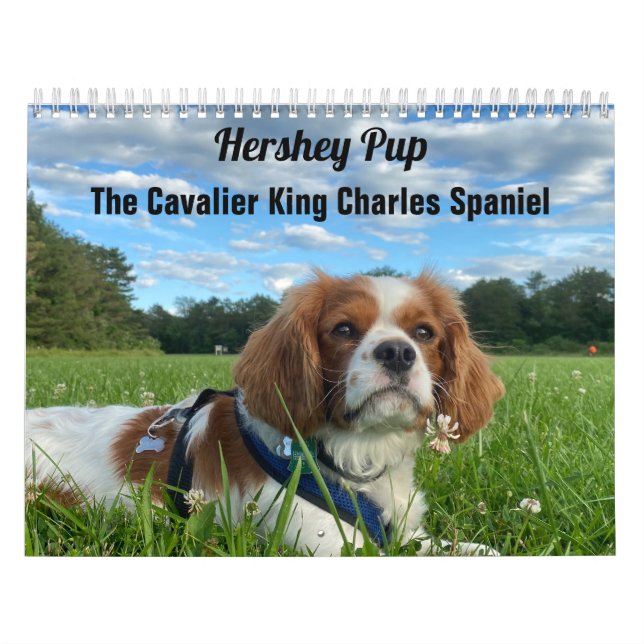 Calendario Hershey Pup Cavalier King Charles Spaniel Calendar (Tapa)