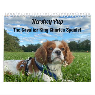 Calendario Hershey Pup Cavalier King Charles Spaniel Calendar