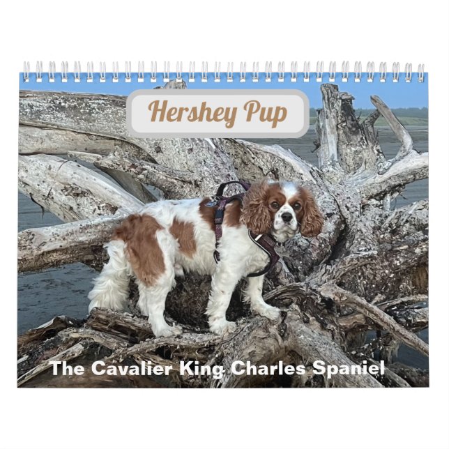 Calendario Hershey Pup Cavalier King Charles Spaniel Calendar (Tapa)