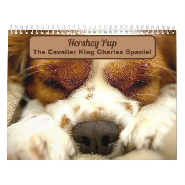 Calendario Hershey Pup Cute Cavalier King Charles Calendar (Tapa)