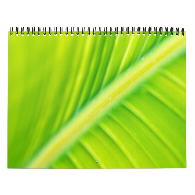 Calendario hoja de plátano verde (Tapa)