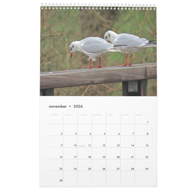 Calendario Hollandse vogels Kalender aan te passen (Nov 2026)