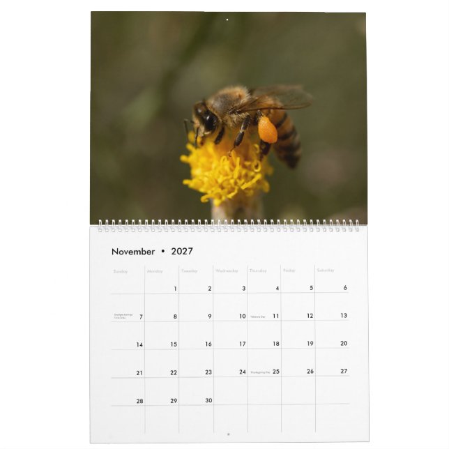 Calendario Honeybee (Nov 2027)
