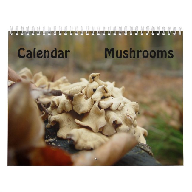 Calendario Hongos (Tapa)