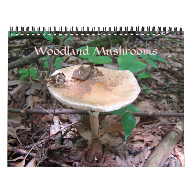 Calendario - Hongos de Woodland (Tapa)