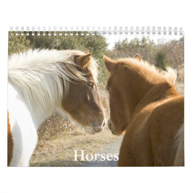 Calendario Horse Calendar (Tapa)