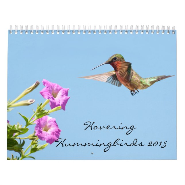 Calendario Hovering Hummingbirds 2015 (Tapa)