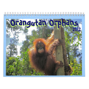 Calendario Huérfanos del orangután