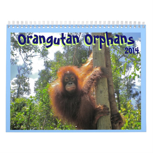 Calendario Huérfanos del orangután (Tapa)