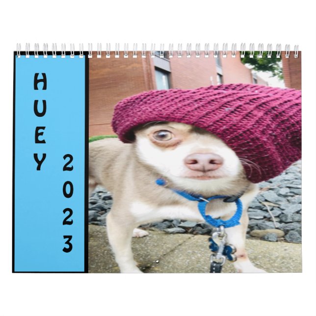 Calendario Huey 2023 Wall (Tapa)