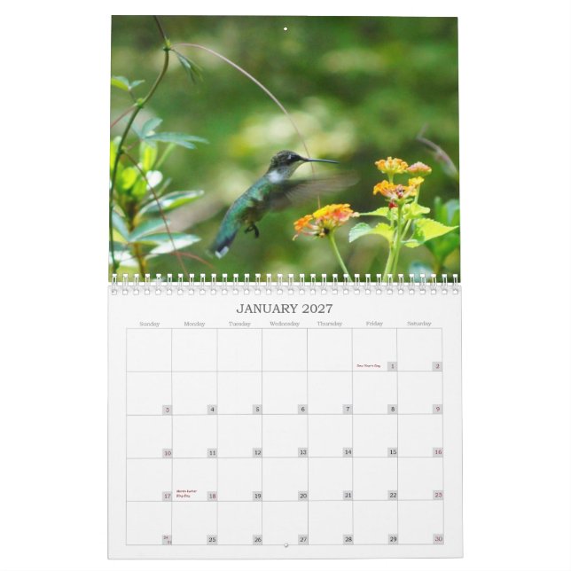 Calendario ¡Humm conmigo! (Jan 2027)
