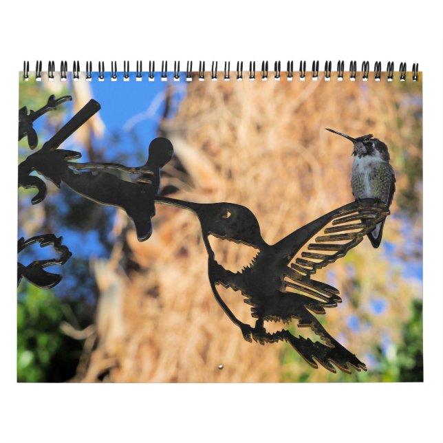 Calendario HUMMINGBIRD 2022 (Tapa)