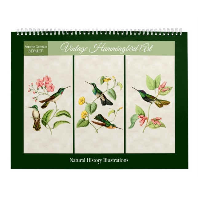 Calendario Hummingbird Art 2026 (Tapa)