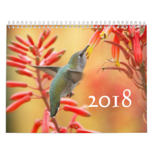 Calendario Hummingbirds