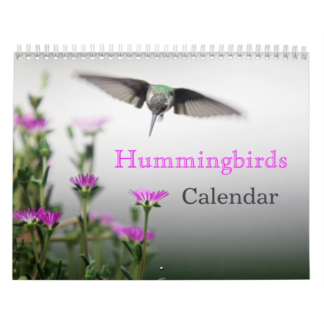 Calendario HUMMINGBIRDS (Tapa)
