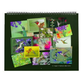 Calendario HUMMINGBIRDS