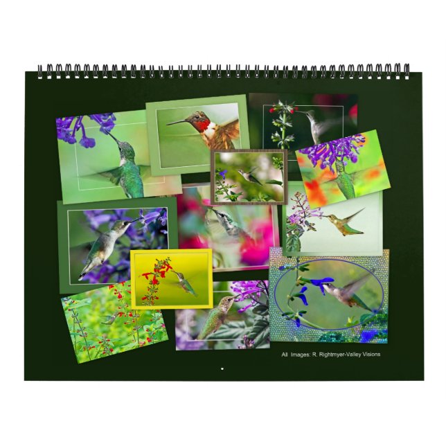 Calendario HUMMINGBIRDS (Tapa)